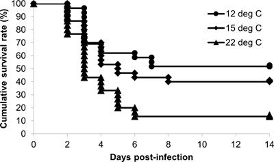 Decreased resistance to bacterial cold-water disease and excessive inflammatory response in ayu (Plecoglossus altivelis) reared at high water temperature